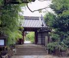 大阪  萩の寺